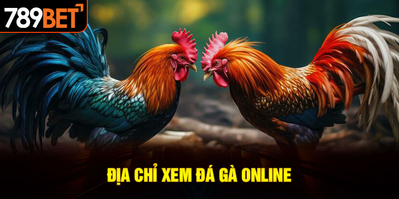 nơi xem đá gà online