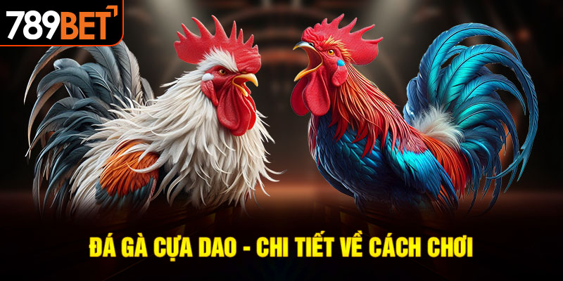 đá gà cựa dao