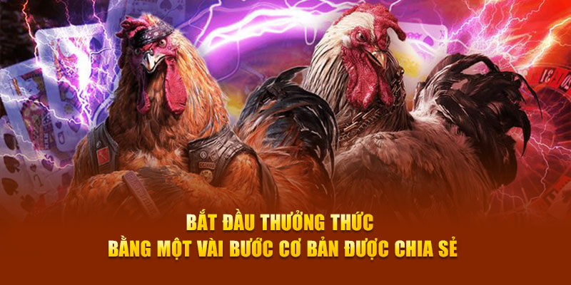 Bắt đầu thưởng thức bằng một vài bước cơ bản được chia sẻ