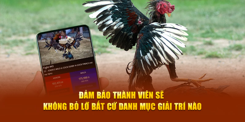 Đảm bảo thành viên sẽ không bỏ lỡ bất cứ danh mục giải trí nào