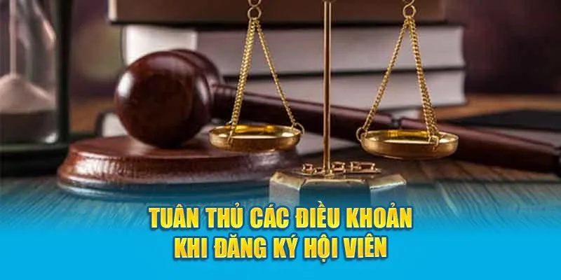 Những nội dung quy định khi tạo tài khoản