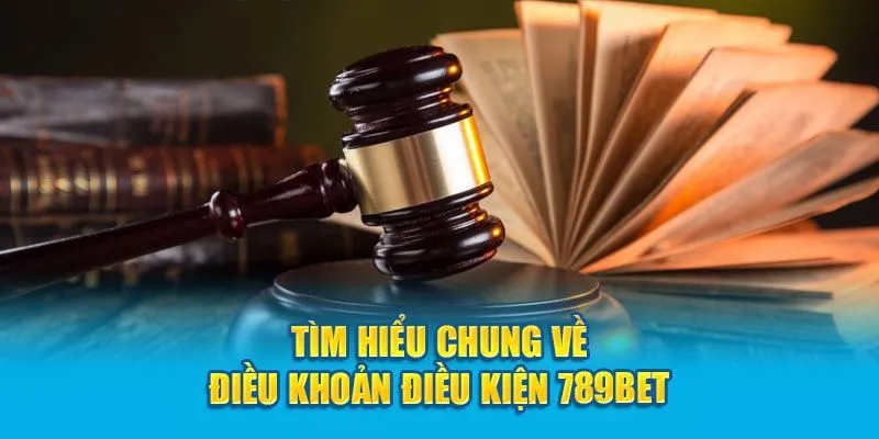 Tóm tắt vài nét về điều khoản