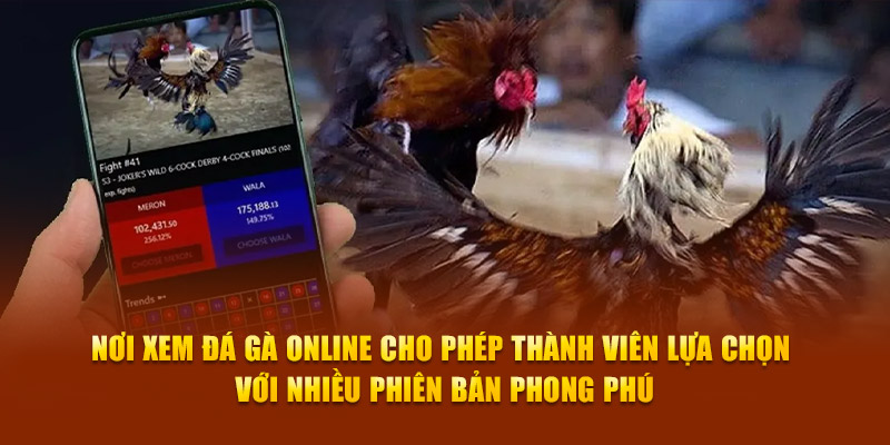 Nơi xem đá gà online cho phép thành viên lựa chọn với nhiều phiên bản phong phú