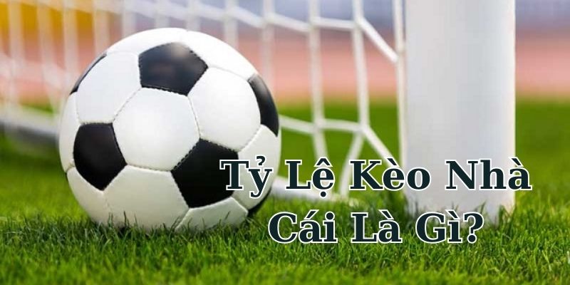 Tìm hiểu tỷ lệ kèo nhà cái