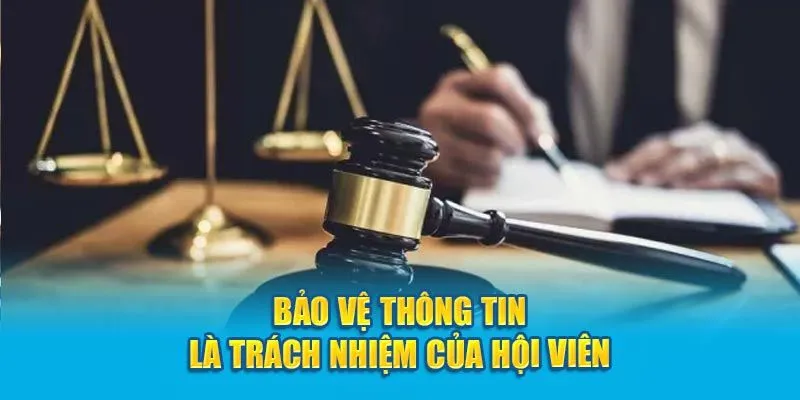 Người chơi cần nghiêm chỉnh chấp hành các quy định