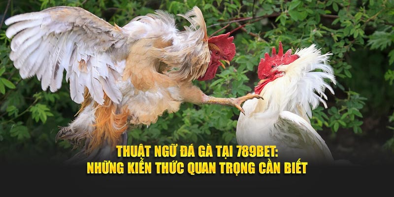 thuật ngữ đá gà 789bet